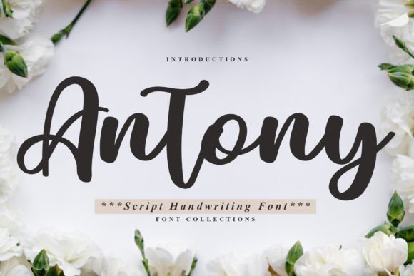 Antony Font for Web Design
