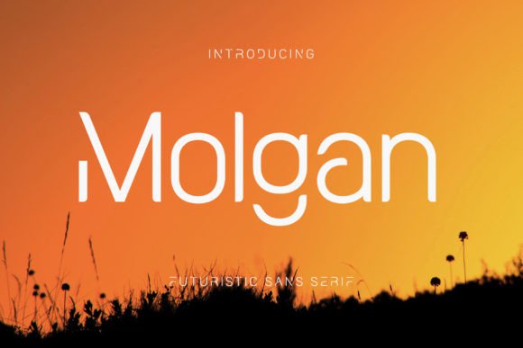 Molgan: A Modern Font for Bold Design
